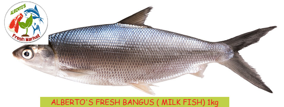 FRESH SEAFOODS WHOLE BANGUS 1kg 2 pcs