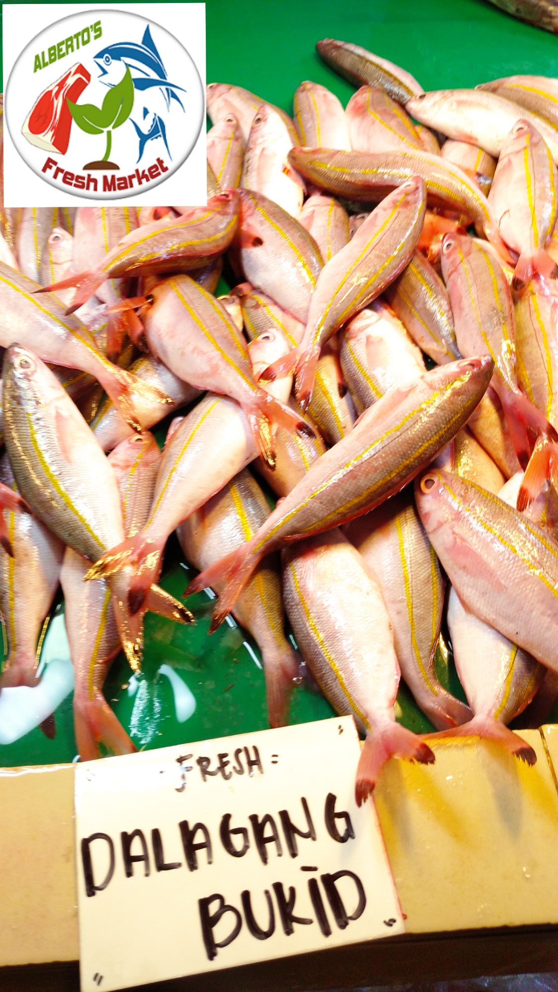 FRESH SEAFOODS DALAGANG BUKID BILOG 500 grams