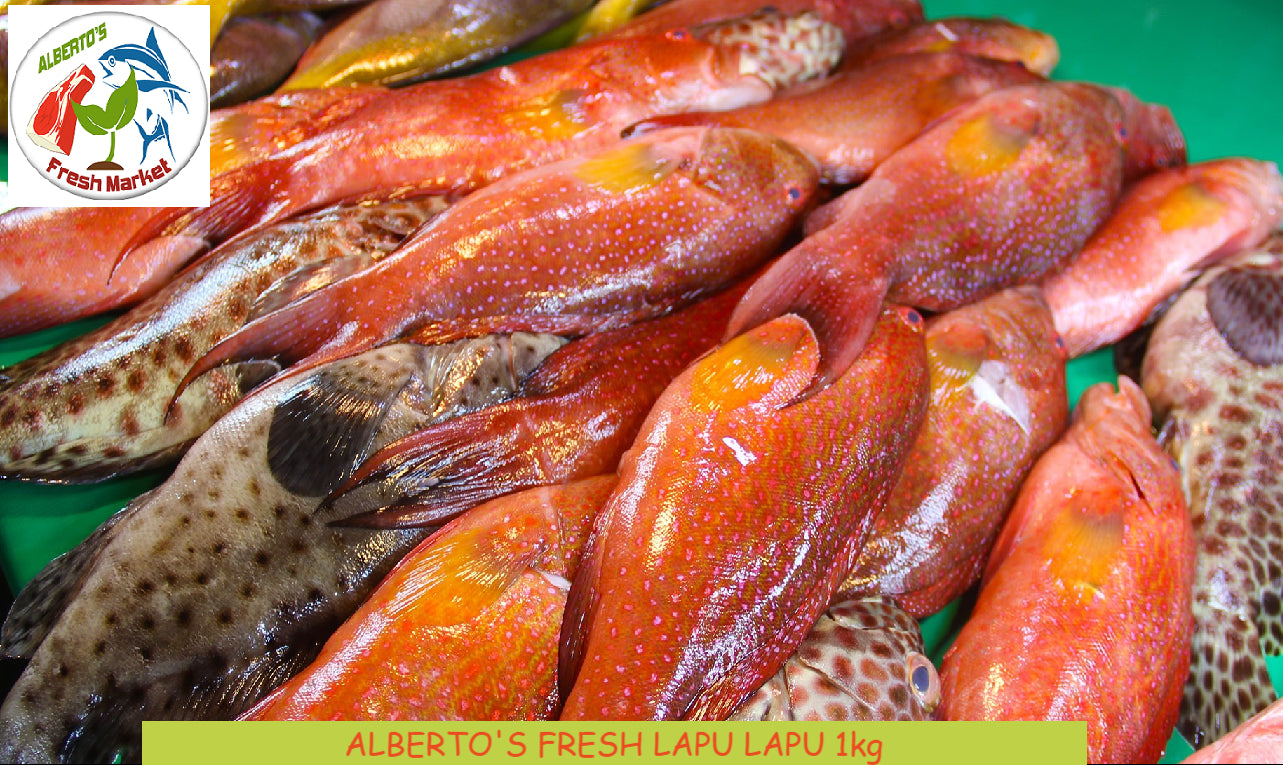 FRESH SEAFOODS LAPU LAPU RED 1kg