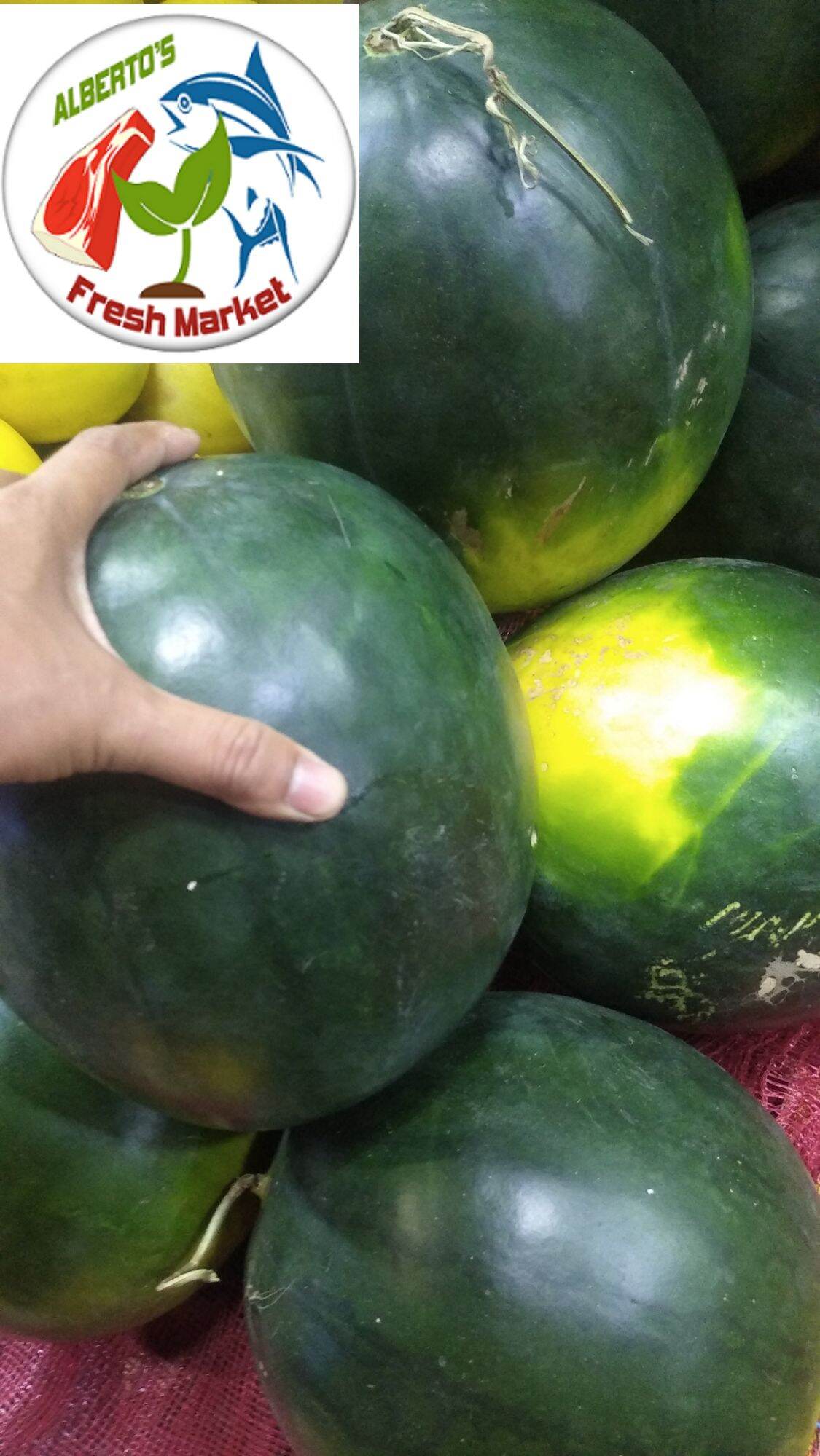 FRESH FRUIT WATER MELON ( PAKWAN ) 1pc