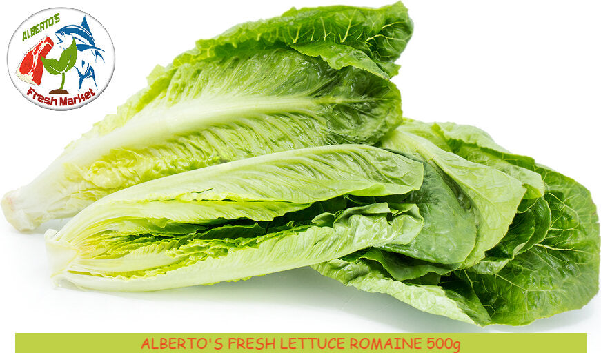 FRESH LEAFY VEGETABLES LETTUCE ROMAINE 500 grams