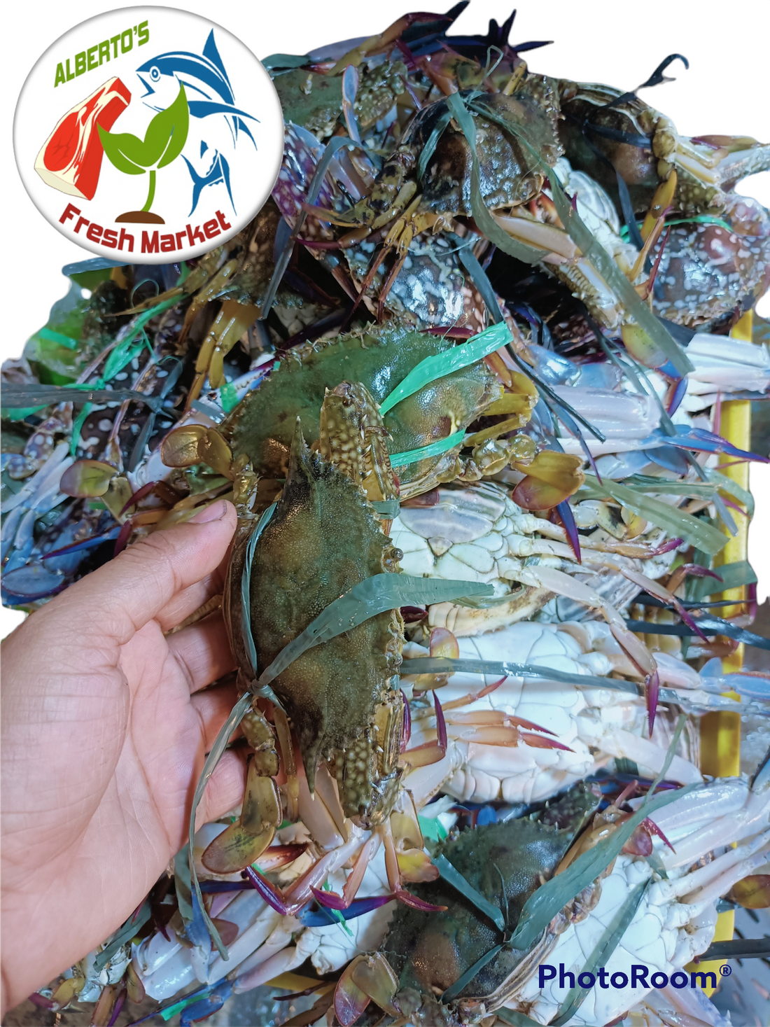FRESH SEAFOODS ALIMASAG 500 grams – Alberto's Fresh Market