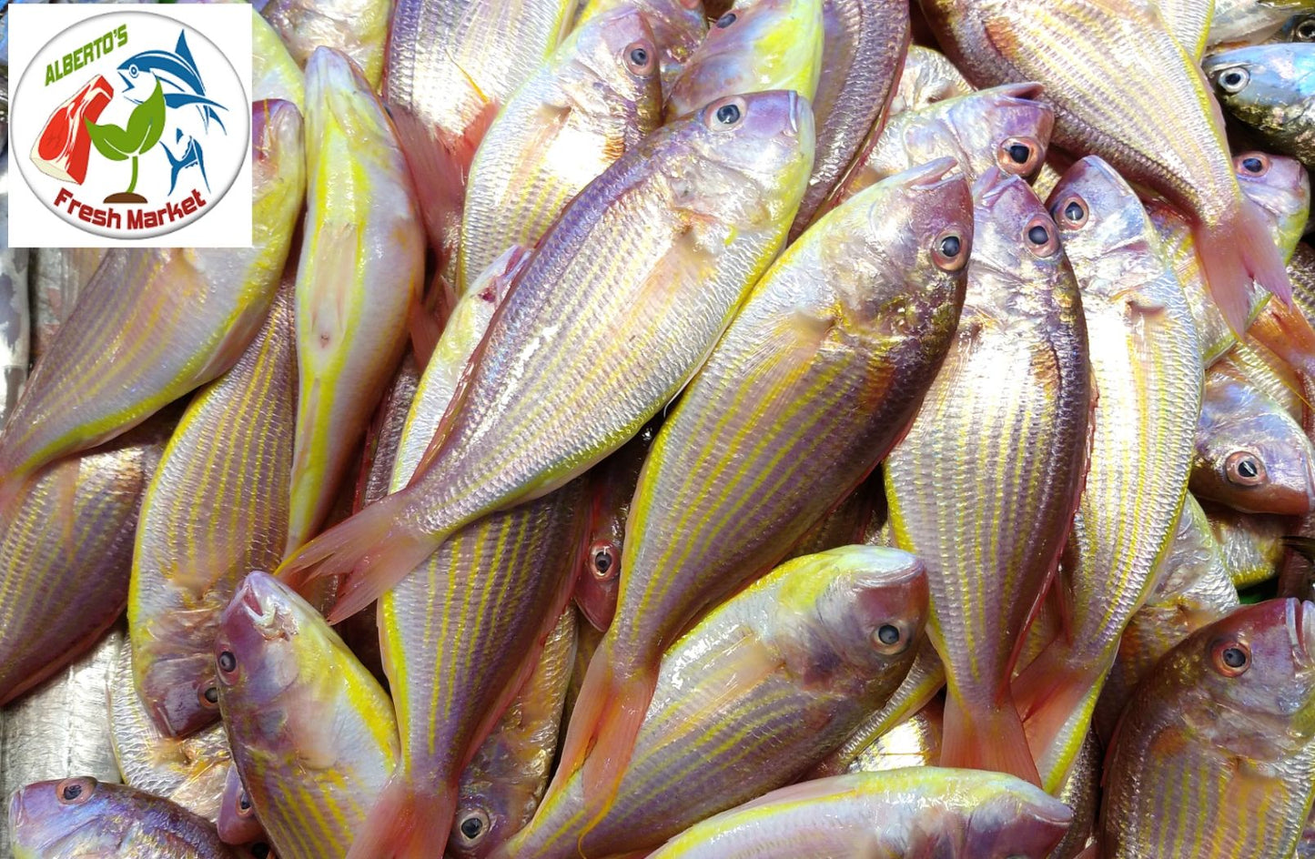 FRESH SEAFOODS BISUGO 500 grams