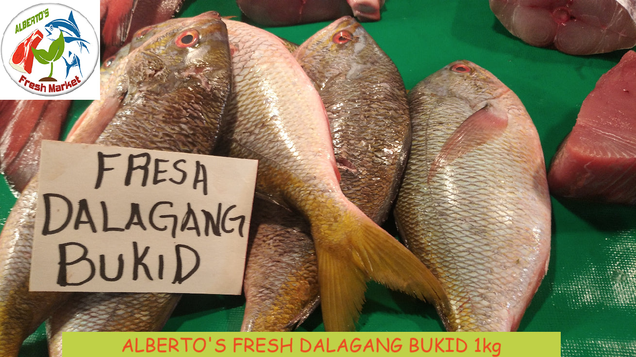 DALAGANG BUKID LAPAD 500 grams