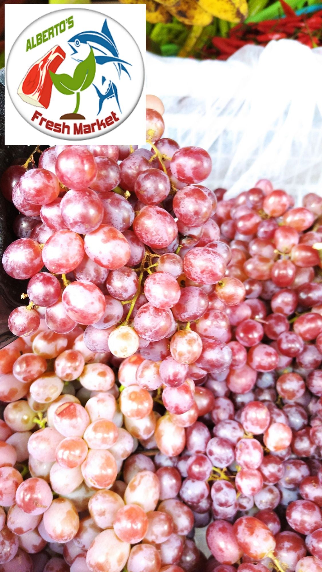 FRESH FRUITS SEEDLESS GRAPES 500 grams