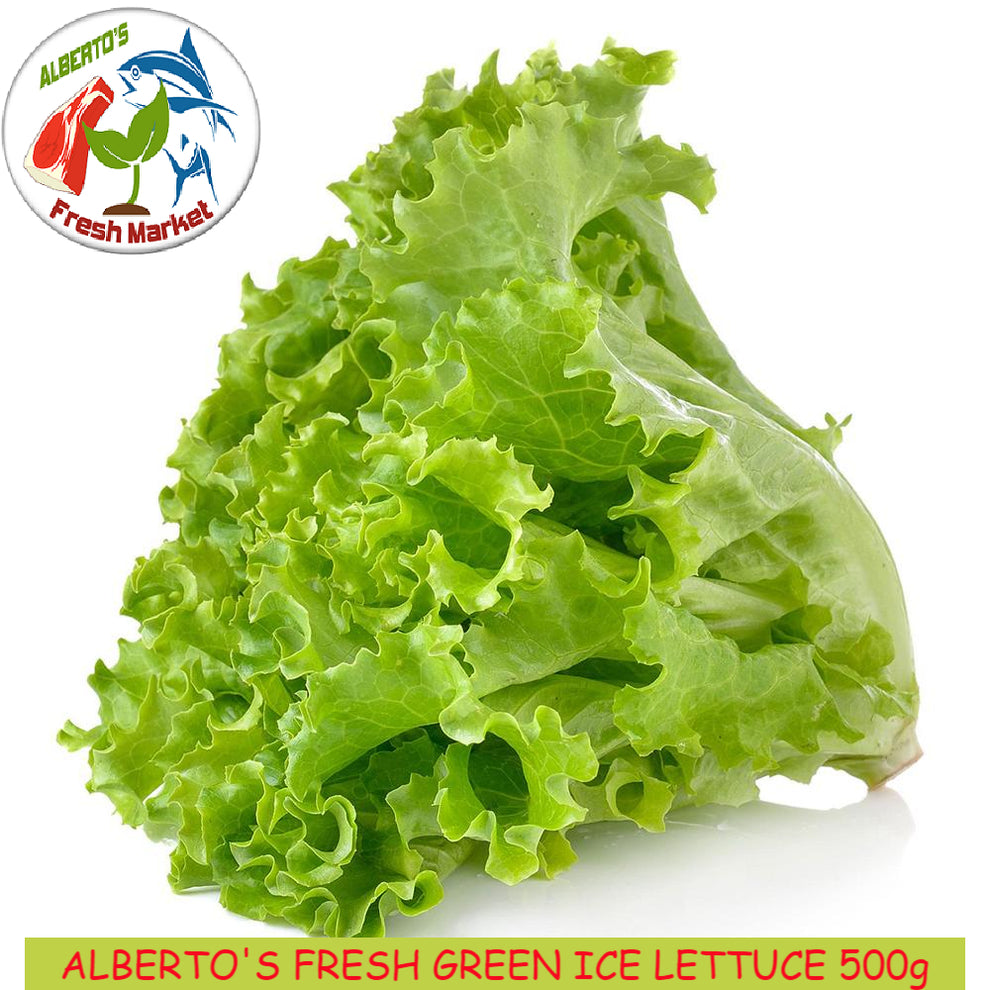 FRESH VEGETABLES GREEN ICE LETTUCE 500 grams – Alberto's Fresh Market