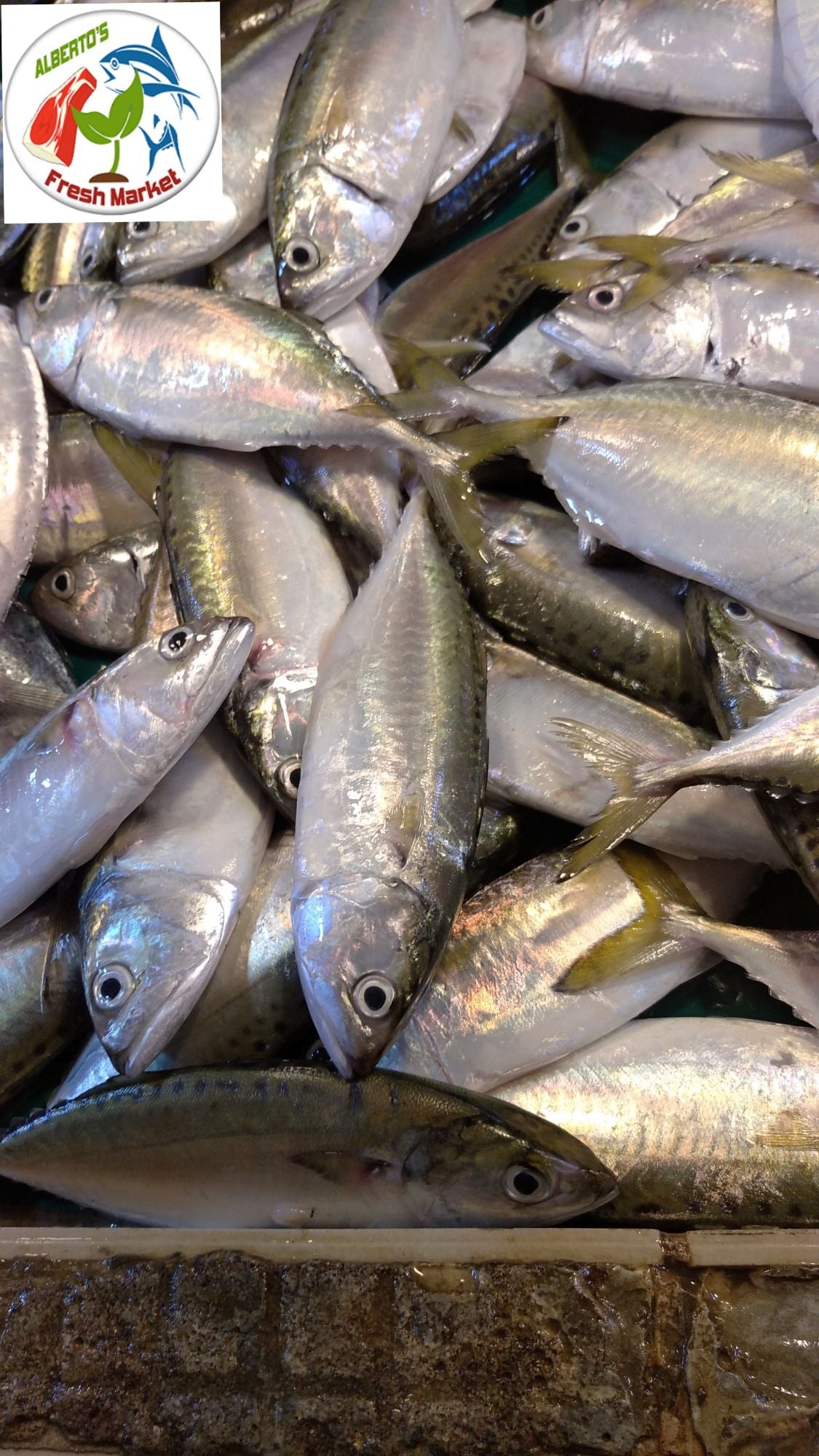 FRESH SEAFOODS HASA HASA 500 grams
