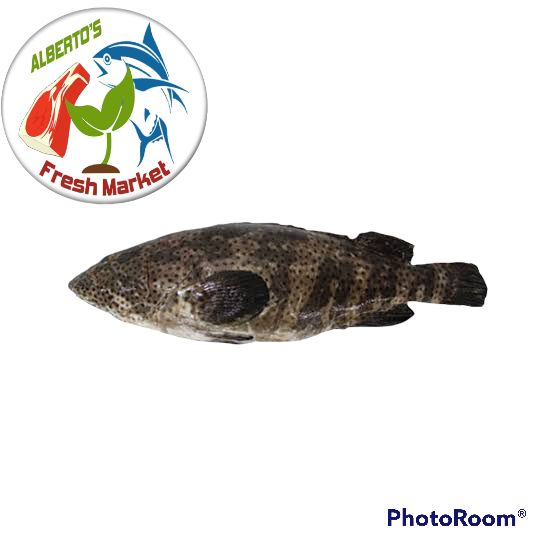FRESH SEAFOODS LAPU LAPU BLACK 1kg