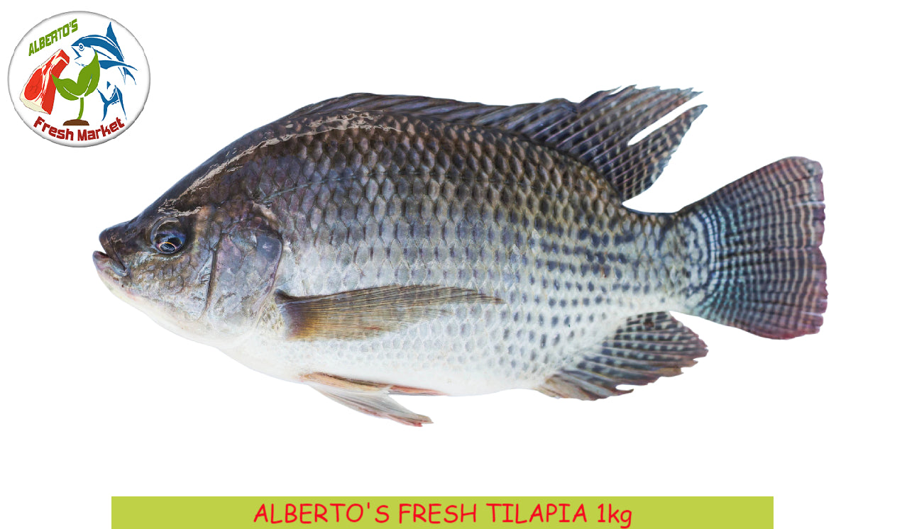 FRESH TILAPIA 1kg